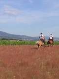 Documentaire, a fond la France : du mont Pilat aux monts d'Ardèche