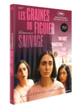 Film, Les graines du figuier sauvage disponible en dvd et bluray