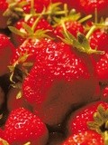 Les fraises du Périgord
