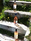 Les rosés des vignobles de Foncalieu