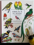 Livre, oiseaux du monde à colorier aux Editions Larousse