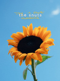 Musique, The Snuts quatrième album Joy In Short Moments