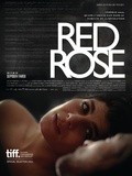 Red rose (critique film)