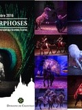 Spectacle : Métamorphoses aux Grandes Ecuries à Chantilly