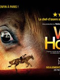 Spectacle, War horse à la Seine Musicale