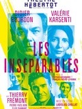 (Théâtre) : Les inséparables avec Didier Bourdon, Valérie Karsenti - Critique