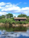 La réserve aux oiseaux sauvages du Teich