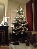 Noël j-14, un arbre blanc