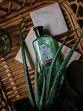Shampoing Herbal Essences Aloe – Elodie in Paris