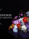 La première Dandy Box pour Femmes