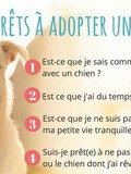 Adopter un chien : ce qu’il faut savoir avant de se lancer