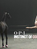 Instinct of Color, le 1er film signé opi qui fait le buzz