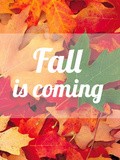 Fall is coming