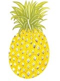 En mode Ananas