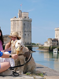 La Rochelle avec son chien : une crèche canine ouvre à l’Encan cet été