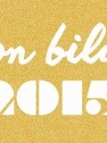 Lifestyle // Mon bilan 2015