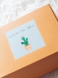 Healthy mini box, la box lifestyle belge , gourmande et naturelle