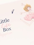 My little box débarque en Belgique. Premiere boite : My little new life box (janvier 2013)