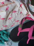 Pink flamingo