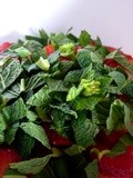 Salade de Fruits de Saison : Fraises à la Menthe et au Gingembre