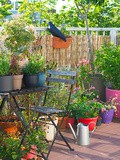 Cottage garden en pots – Un jardin à l’anglaise sur mon balcon