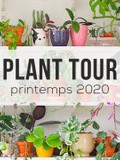 Plant tour – Ma terrasse rooftop – Printemps 2020