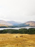 Retour en Écosse #1 – Les Highlands