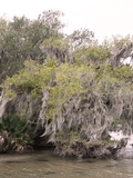 Goin' Down The Bayou #25 New Orleans Partie 2
