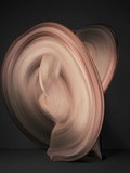 Photographe : Shinichi Maruyama