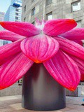 Art : Breathing Flower, une oeuvre de Choi Jeong Hwa - Festival Les Extatiques, parcours d'art contemporain à la Défense - Jusqu'au 6 octobre 2019