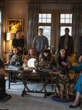 Cinéma : a couteaux tirés, de Rian Johnson - Avec Daniel Craig, Chris Evans, Ana de Armas