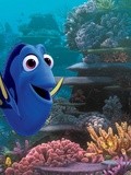 Cinéma : Le Monde de Dory de Andrew Stanton et Angus MacLane - Avec les voix de Céline Monsarrat, Franck Dubosc, Mathilde Seigner - Par Sand