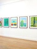 Expo : David Hockney, The Yosemite Suite - Galerie Lelong - Paris 8