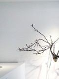 Expo : Le Rêveur de la forêt - Musée Zadkine - Jusqu'au 23 février 2020