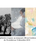 Expo : Les cinq artistes composant le collectif Ephémère exposent leurs travaux, hommages à la nature et au Japon - Restaurant 48 rue Condorcet - Paris 9