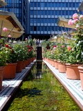 Expo : Les jardins d'Orient, un goût de paradis - Institut du Monde Arabe - Paris 5