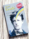 Lundi Librairie : Rainbow pour Rimbaud - Jean Teulé