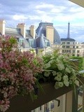 Mes Adresses : La résidence d'été du restaurant w, la terrasse penthouse de l'hôtel Warwick Champs-Elysées - 5 rue de Berri - Paris 8