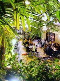 Mes Adresses : Marcello, terrasse confidentielle à Saint-Germain-des-Prés, the place to be cet été ! - Paris 6