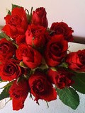 Message test 3