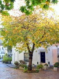 Paris : Cité Florale, la parenthèse enchantée - 36-38 et 50-54 rue Brillat-Savarin - XIIIème