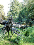 Paris : l'Arbre des Voyelles, une oeuvre de Giuseppe Penone - Jardin des Tuileries - Ier