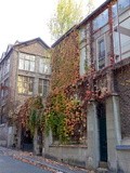 Paris : La Ruche, cité d'artistes bourdonnante et souvenirs piquants de Montparnasse - passage de Dantzig - XVème