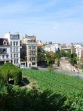 Paris : La vigne de Montmartre, la tradition réinventée - XVIIIème