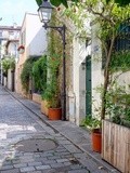 Paris : Passage Bourgoin, un confetti fleuri préservé grâce à la ténacité de ses riverains - XIIIème