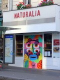 Sunday Street Art : Kashink - rue Cambronne - Paris 15