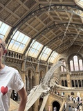 The Natural History Museum, Harrods and the v&a