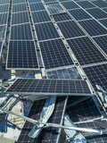 Assurance pour panneaux photovoltaïques : combien cela coûte