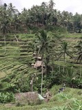 Bali Authentique : Ubud