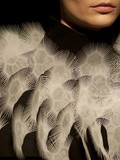 Iris Van Herpen, Voltage Collection -- pfw Haute Couture janvier - january 2013